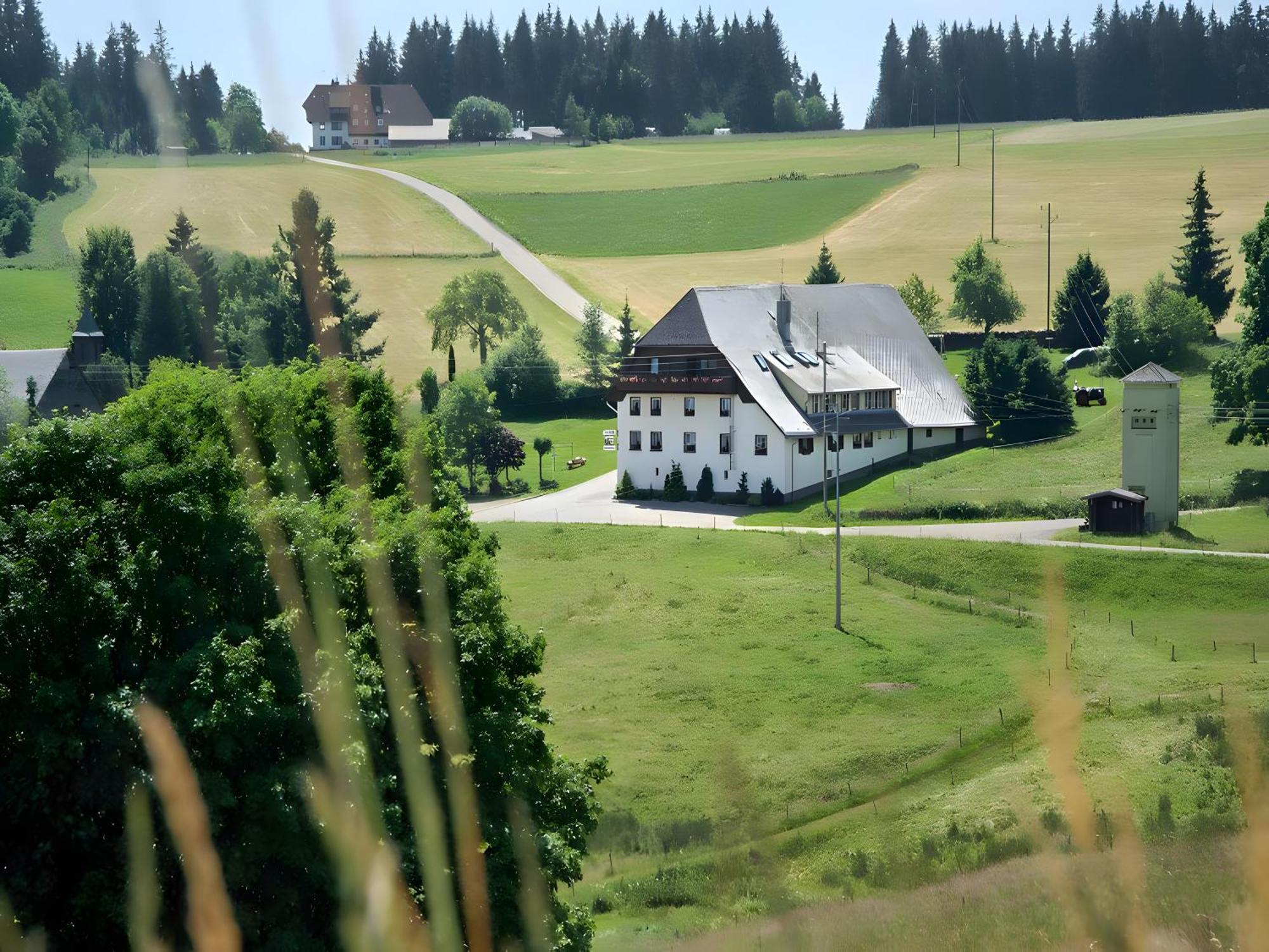 Gasthaus-Pension Zum Loewen Grafenhausen Eksteriør bilde