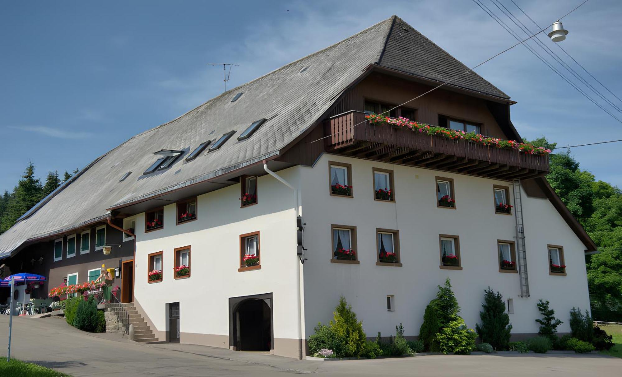 Gasthaus-Pension Zum Loewen Grafenhausen Eksteriør bilde