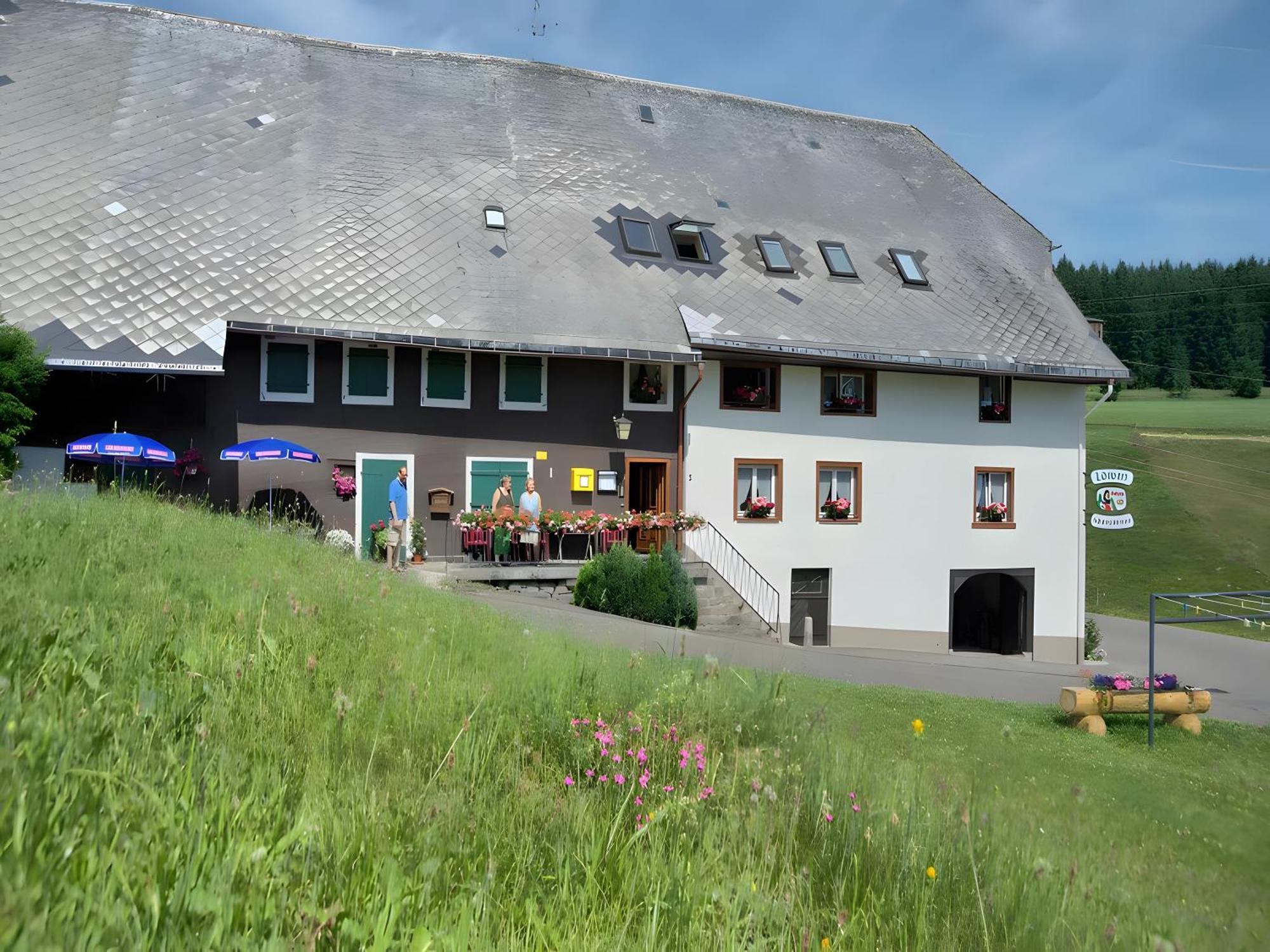 Gasthaus-Pension Zum Loewen Grafenhausen Eksteriør bilde